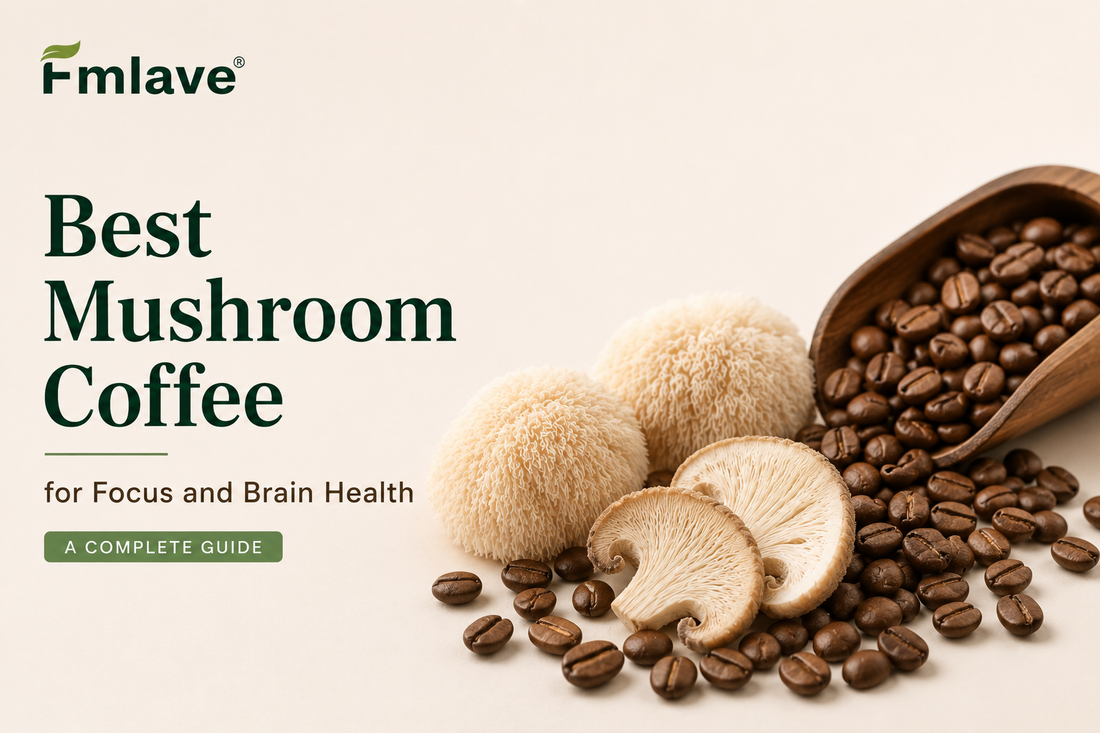 Best Mushroom Coffee for Focus and Brain Health: A Complete Guide
