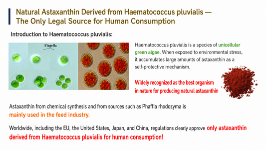 Haematococcus pluvialis-Derived Natural Astaxanthin Supports Eye Function by Protecting Ocular Redox Balance, Visual Acuity Under Screen Stress, and Accommodative Performance