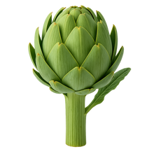 Artichoke (Cynara scolymus 10:1 Extract) [Plant]