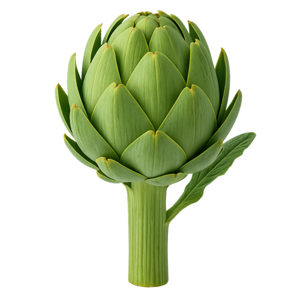 Artichoke (Cynara scolymus 10:1 Extract) [Plant]