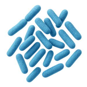Bifidobacterium infantis