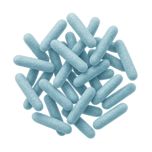 Bifidobacterium lactis