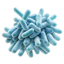Bifidobacterium longum
