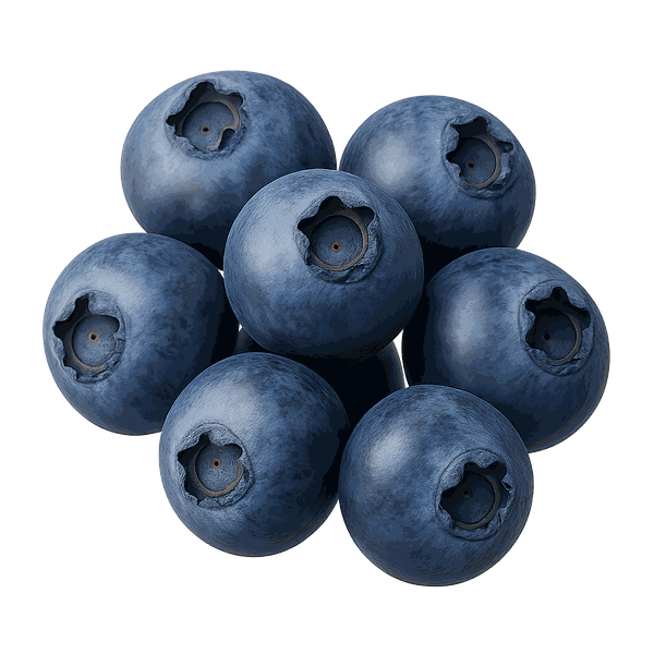 Blueberry Fruit Powder
