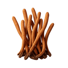 Cordyceps extract