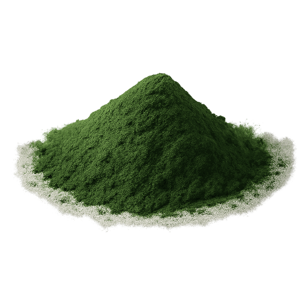 Green Tea Extract 
