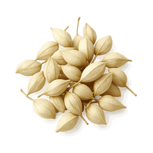 Japanese Pagoda Rutin Extract