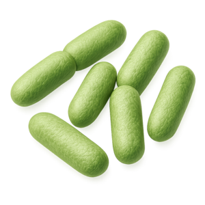 Lactobacillus plantarum