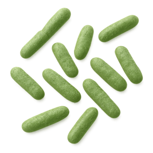 Lactobacillus salivarius