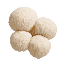 Lion's Mane Mushroom Extract
