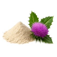 Milk Thistle (Silybum marianum 10:1 Extract) [Seed]