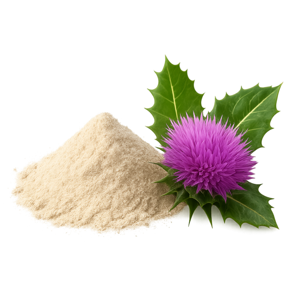 Milk Thistle (Silybum marianum 10:1 Extract) [Seed]