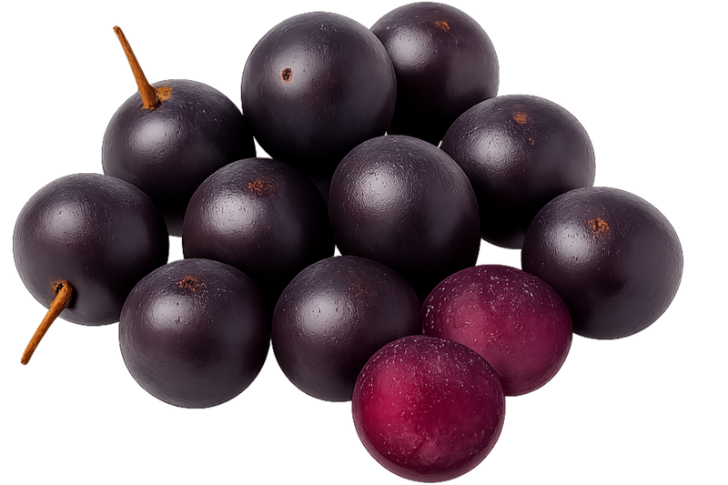 Acai 10:1 Extract (Euterpe oleracea) (Fruit) 