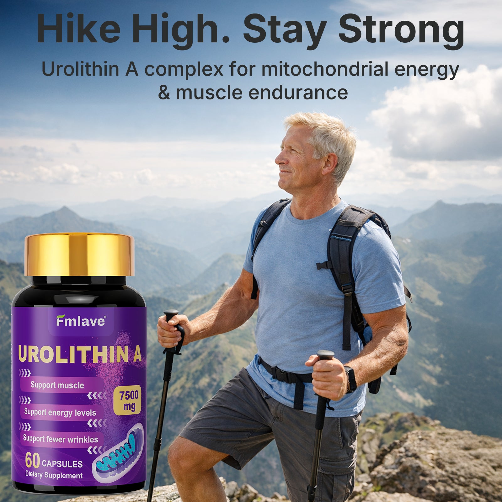UROLITINA A back label