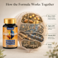 Fmlave Brain Health bottle with a conceptual brain support workshop showing direct NAD+, Alpha-GPC, vitamin B12, and folate working together for cognitive support