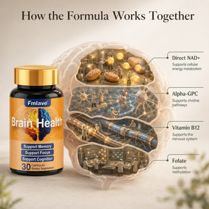 Fmlave Brain Health bottle with a conceptual brain support workshop showing direct NAD+, Alpha-GPC, vitamin B12, and folate working together for cognitive support