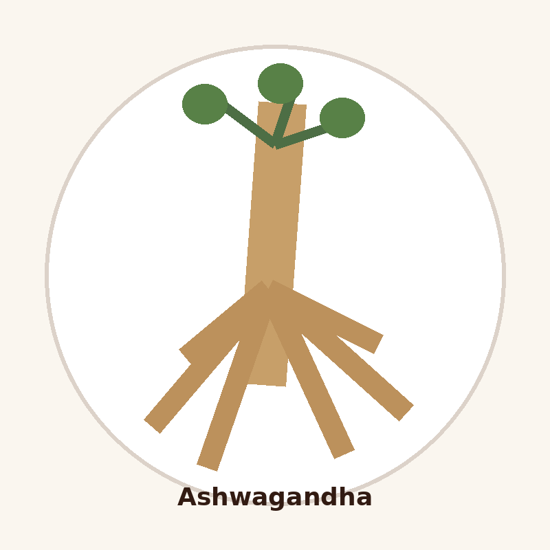 Ashwagandha Extract