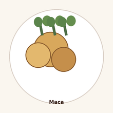 Maca Extract