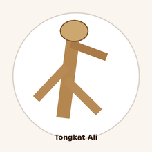 Tongkat Ali Extract